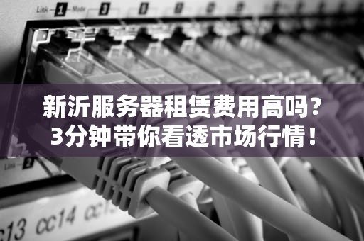 新沂服务器租赁费用高吗？3分钟带你看透市场行情！
