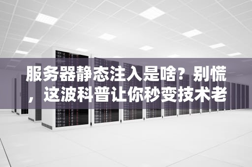 服务器静态注入是啥？别慌，这波科普让你秒变技术老司机！