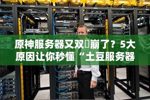 原神服务器又双叒崩了？5大原因让你秒懂“土豆服务器”的痛！