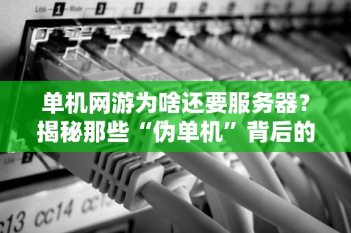 单机网游为啥还要服务器？揭秘那些“伪单机”背后的技术猫腻！