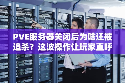 PVE服务器关闭后为啥还被追杀？这波操作让玩家直呼内行！
