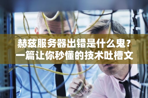 赫兹服务器出错是什么鬼？一篇让你秒懂的技术吐槽文