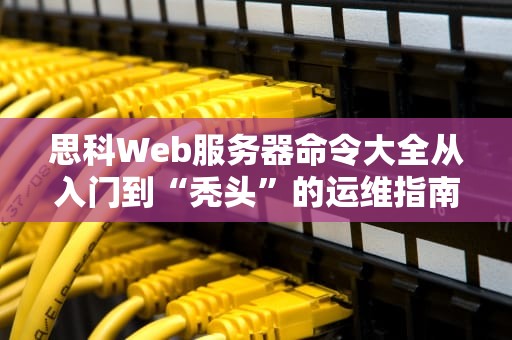 思科Web服务器命令大全从入门到“秃头”的运维指南