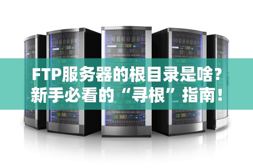 FTP服务器的根目录是啥？新手必看的“寻根”指南！