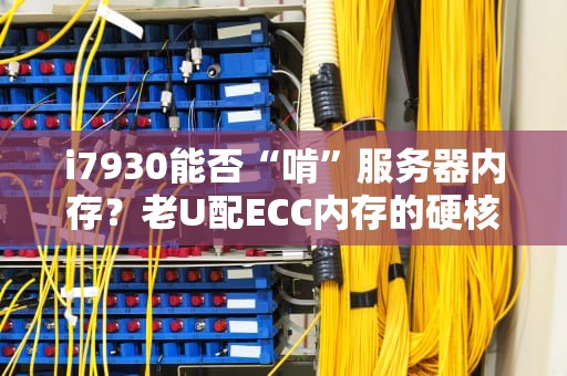 i7930能否“啃”服务器内存？老U配ECC内存的硬核真相！