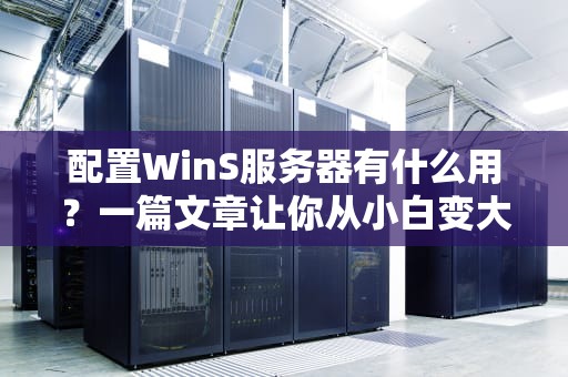 配置WinS服务器有什么用？一篇文章让你从小白变大神！