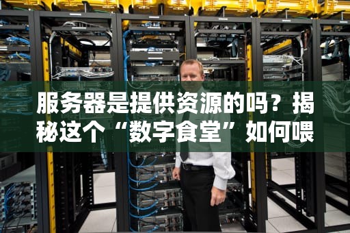 服务器是提供资源的吗？揭秘这个“数字食堂”如何喂饱你的网站！