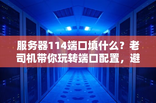 服务器114端口填什么？老司机带你玩转端口配置，避免翻车！