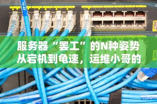 服务器“罢工”的N种姿势从宕机到龟速，运维小哥的血压飙升实录！