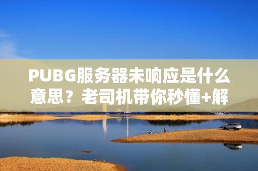 PUBG服务器未响应是什么意思？老司机带你秒懂+解决秘籍！