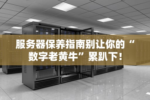 服务器保养指南别让你的“数字老黄牛”累趴下！