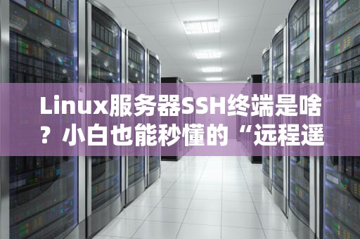 Linux服务器SSH终端是啥？小白也能秒懂的“远程遥控”指南！