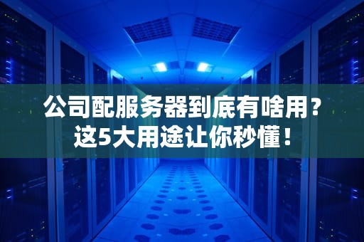 公司配服务器到底有啥用？这5大用途让你秒懂！