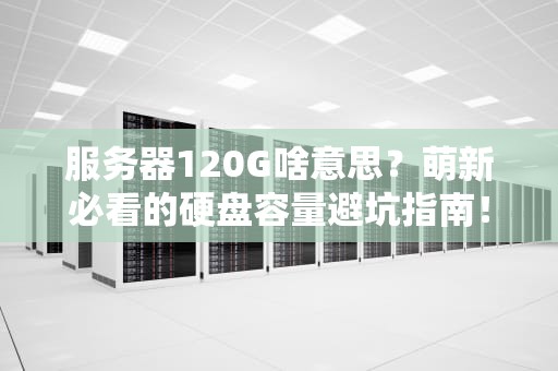 服务器120G啥意思？萌新必看的硬盘容量避坑指南！