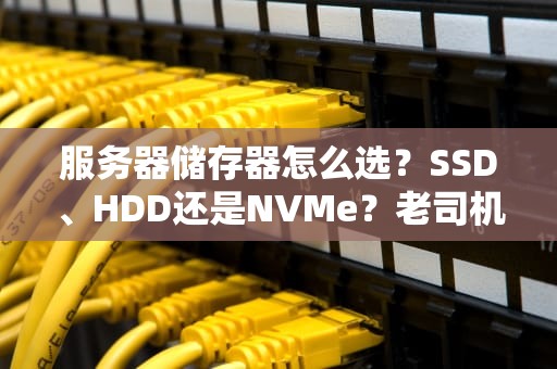 服务器储存器怎么选？SSD、HDD还是NVMe？老司机带你避坑不翻车！