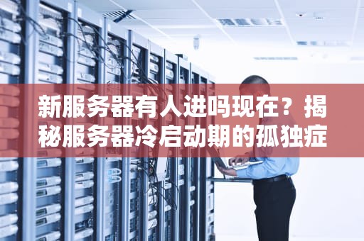 新服务器有人进吗现在？揭秘服务器冷启动期的孤独症与破局之道