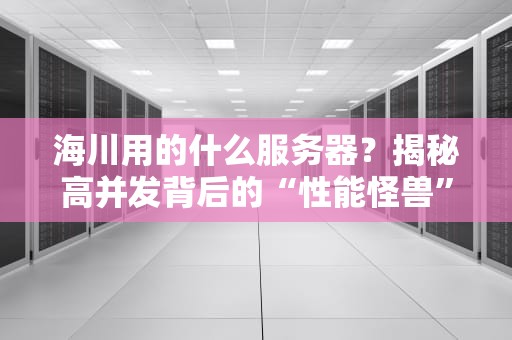 海川用的什么服务器？揭秘高并发背后的“性能怪兽”与运维骚操作！