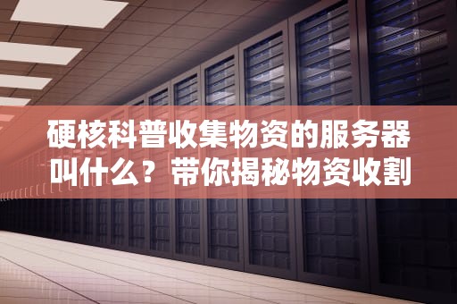 硬核科普收集物资的服务器叫什么？带你揭秘物资收割机的奇妙世界！
