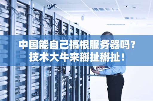 中国能自己搞根服务器吗？技术大牛来掰扯掰扯！