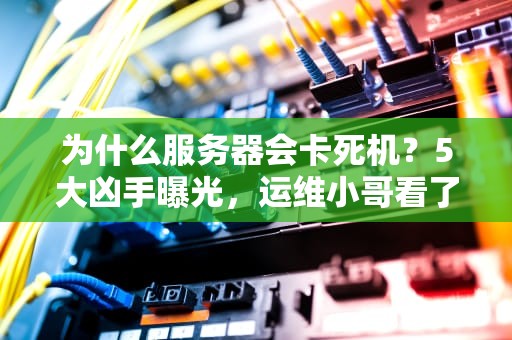 为什么服务器会卡死机？5大凶手曝光，运维小哥看了直呼内行！