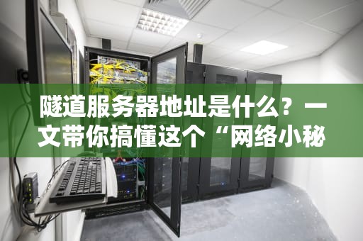 隧道服务器地址是什么？一文带你搞懂这个“网络小秘密”