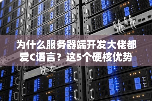 为什么服务器端开发大佬都爱C语言？这5个硬核优势让你不得不服！