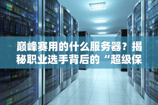 巅峰赛用的什么服务器？揭秘职业选手背后的“超级保姆”