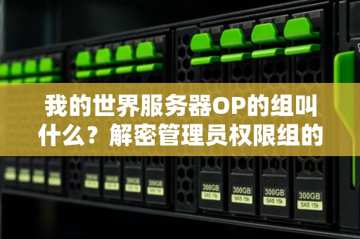 我的世界服务器OP的组叫什么？解密管理员权限组的那些事儿