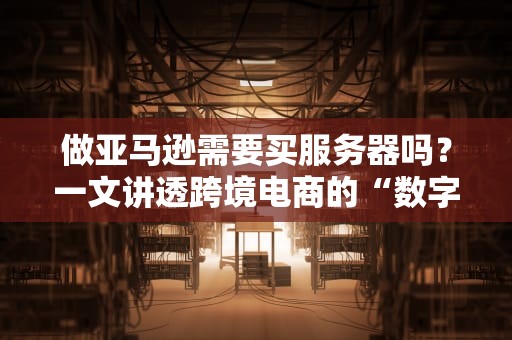 做亚马逊需要买服务器吗？一文讲透跨境电商的“数字地基”选择