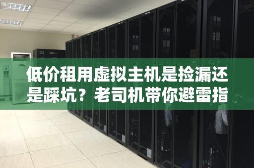 低价租用虚拟主机是捡漏还是踩坑？老司机带你避雷指南！