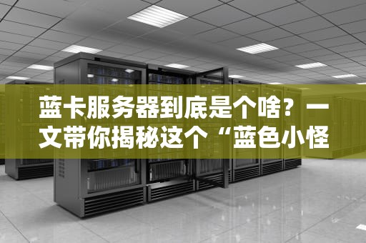 蓝卡服务器到底是个啥？一文带你揭秘这个“蓝色小怪兽”的硬核实力！