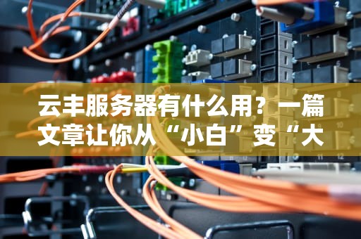 云丰服务器有什么用？一篇文章让你从“小白”变“大神”！