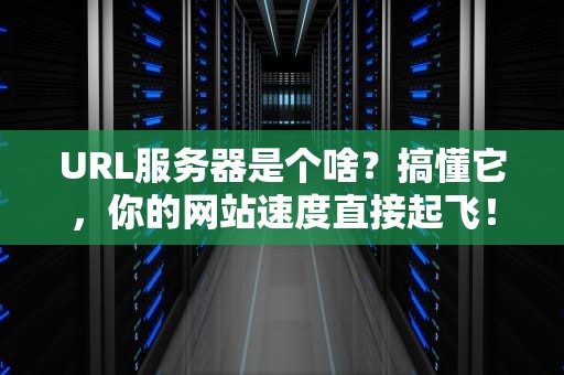 URL服务器是个啥？搞懂它，你的网站速度直接起飞！