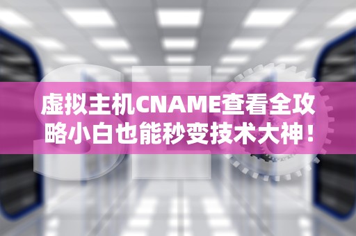 虚拟主机CNAME查看全攻略小白也能秒变技术大神！