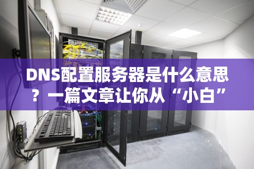 DNS配置服务器是什么意思？一篇文章让你从“小白”变“大神”！