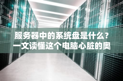 服务器中的系统盘是什么？一文读懂这个电脑心脏的奥秘！