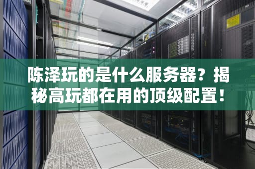 陈泽玩的是什么服务器？揭秘高玩都在用的顶级配置！