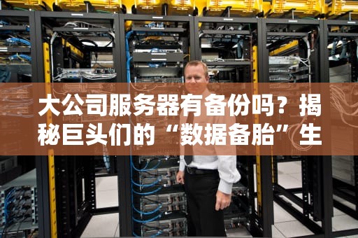 大公司服务器有备份吗？揭秘巨头们的“数据备胎”生存法则