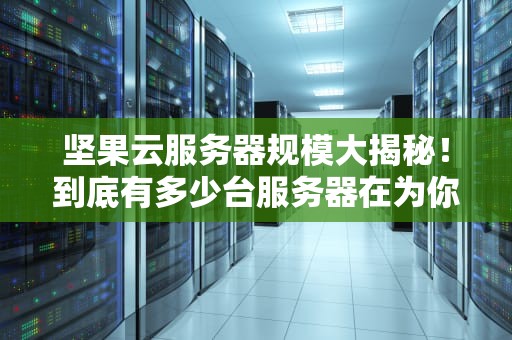 坚果云服务器规模大揭秘！到底有多少台服务器在为你服务？