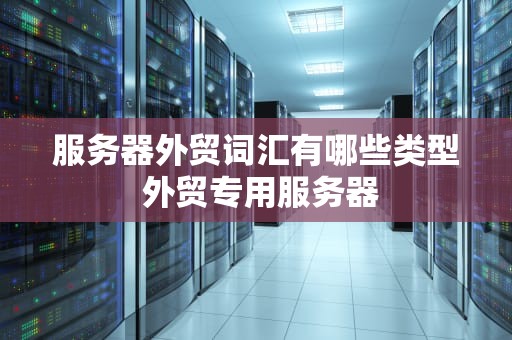 服务器外贸词汇有哪些类型 外贸专用服务器