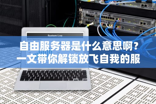 自由服务器是什么意思啊？一文带你解锁放飞自我的服务器世界！