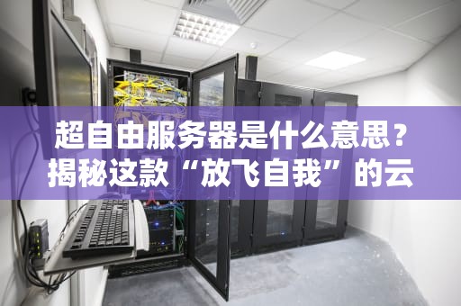 超自由服务器是什么意思？揭秘这款“放飞自我”的云主机有多野！