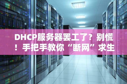 DHCP服务器罢工了？别慌！手把手教你“断网”求生指南