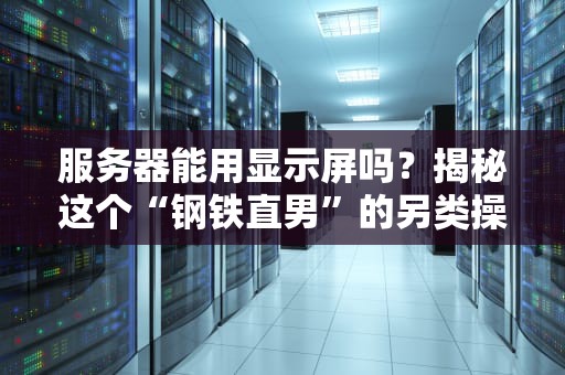 服务器能用显示屏吗？揭秘这个“钢铁直男”的另类操作！
