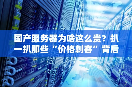 国产服务器为啥这么贵？扒一扒那些“价格刺客”背后的硬核真相！