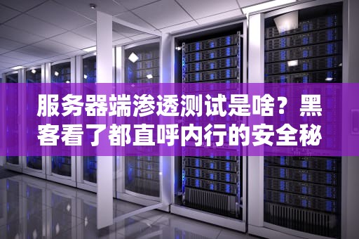 服务器端渗透测试是啥？黑客看了都直呼内行的安全秘籍！
