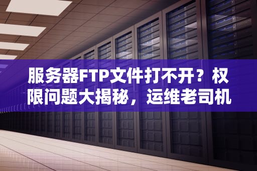 服务器FTP文件打不开？权限问题大揭秘，运维老司机带你轻松搞定！