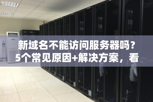新域名不能访问服务器吗？5个常见原因+解决方案，看完秒懂！