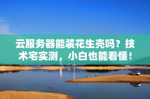 云服务器能装花生壳吗？技术宅实测，小白也能看懂！