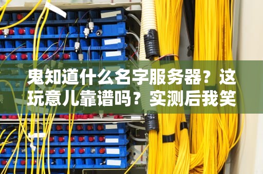 鬼知道什么名字服务器？这玩意儿靠谱吗？实测后我笑出了腹肌！